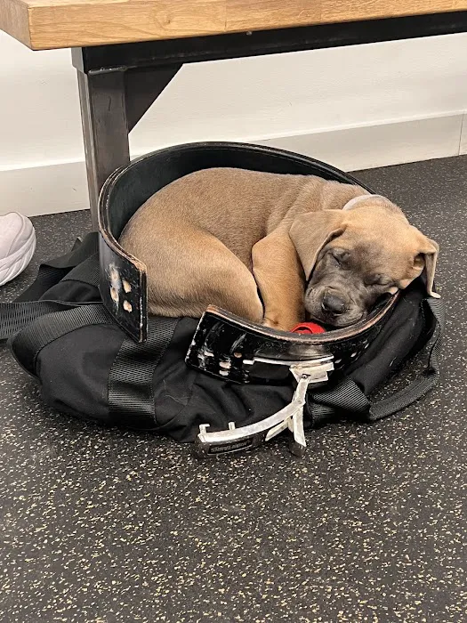 FORTITUDE Strength and Conditioning Picture 2