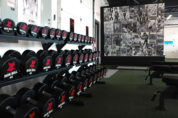 Anime X Gym Picture 5