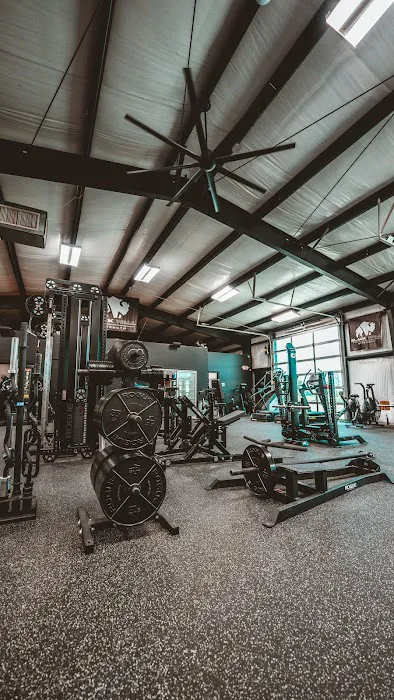 Black Wall Strength Picture 1