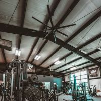 Black Wall Strength ico