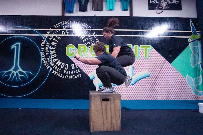 CrossFit RWOL Picture 3