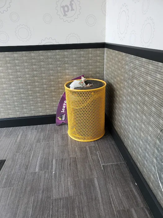 Planet Fitness Picture 10