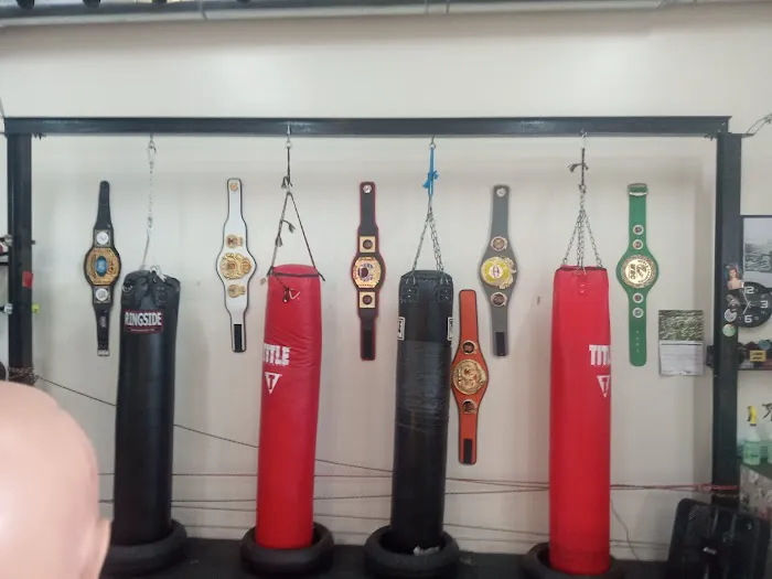 Roughhouse Boxing & Fitness Picture 4