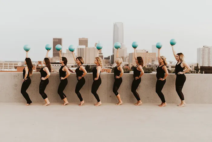 The Body Barre Picture 1