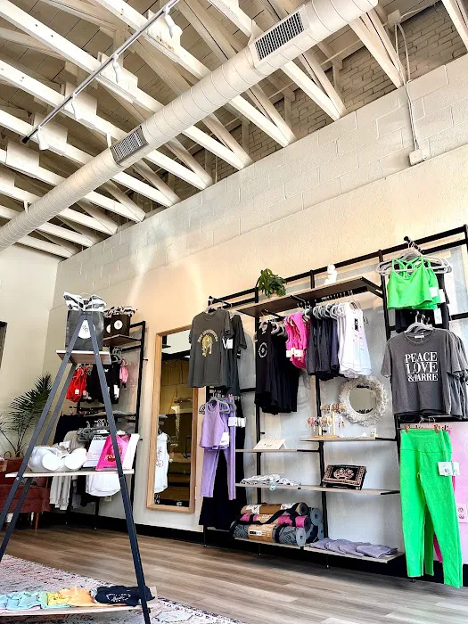 The Body Barre Picture 9