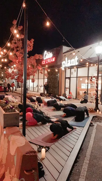 The Body Barre Picture 3