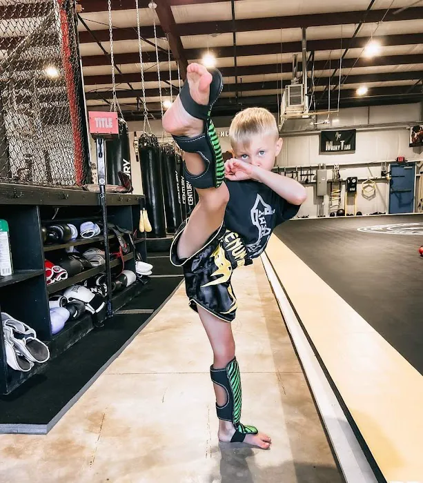 Killer Bees Kickboxing and Mixed Martial Arts Picture 1