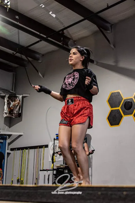 Killer Bees Kickboxing and Mixed Martial Arts Picture 9