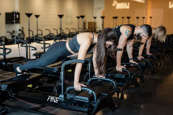 PIKE EVOLUTION Picture 8