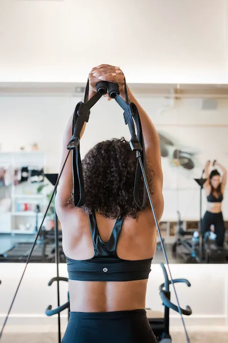 PIKE EVOLUTION Picture 7