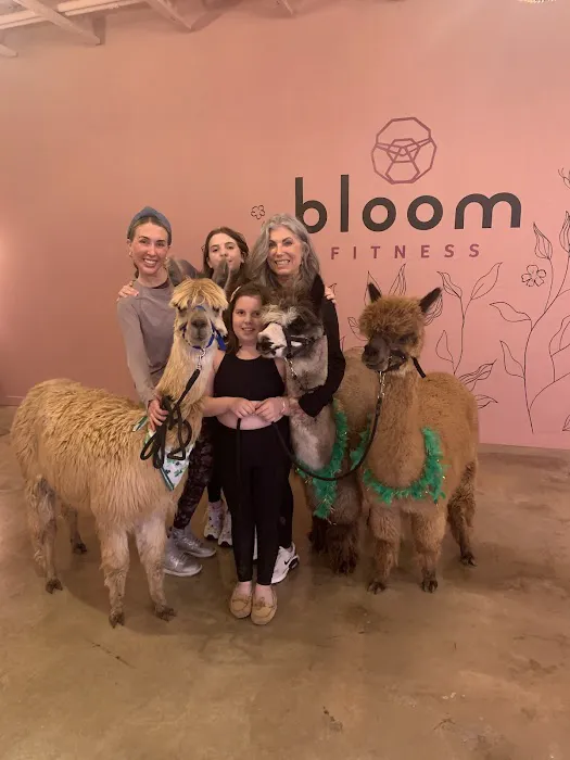 Bloom Fitness Picture 5