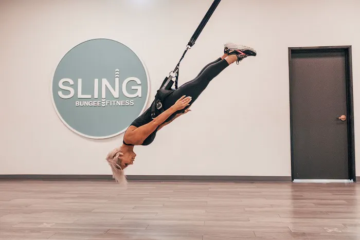 Sling Bungee Fitness Picture 5