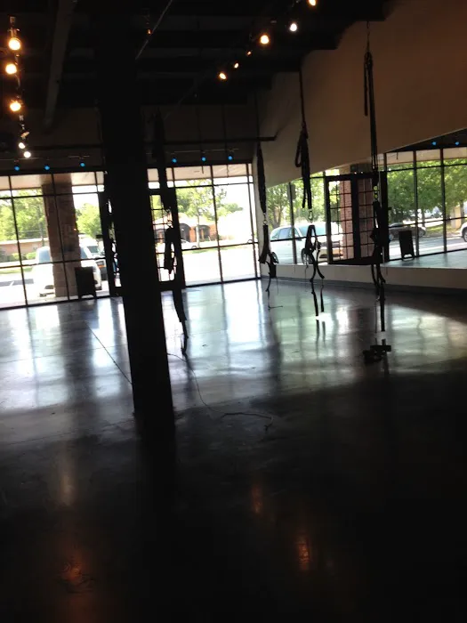 Sling Bungee Fitness Picture 8