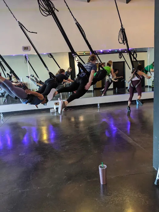 Sling Bungee Fitness Picture 7