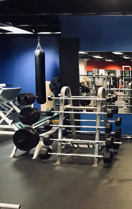 Triumph Strength and Fitness Picture 5