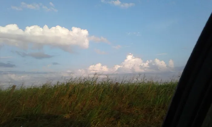 Stevo 'S Cabana Picture 3