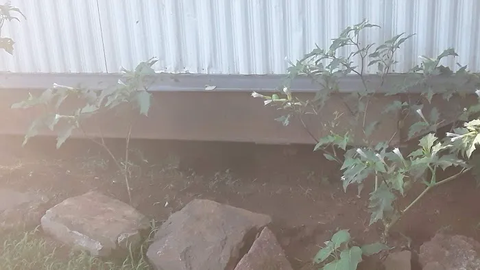 Stevo 'S Cabana Picture 2