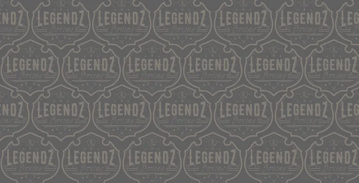 Legendz Boxing Picture 1