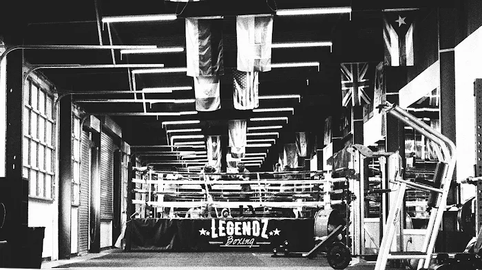 Legendz Boxing Picture 7