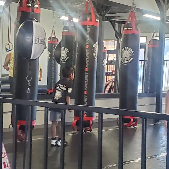 Dog Pound MMA & Fitness Picture 10