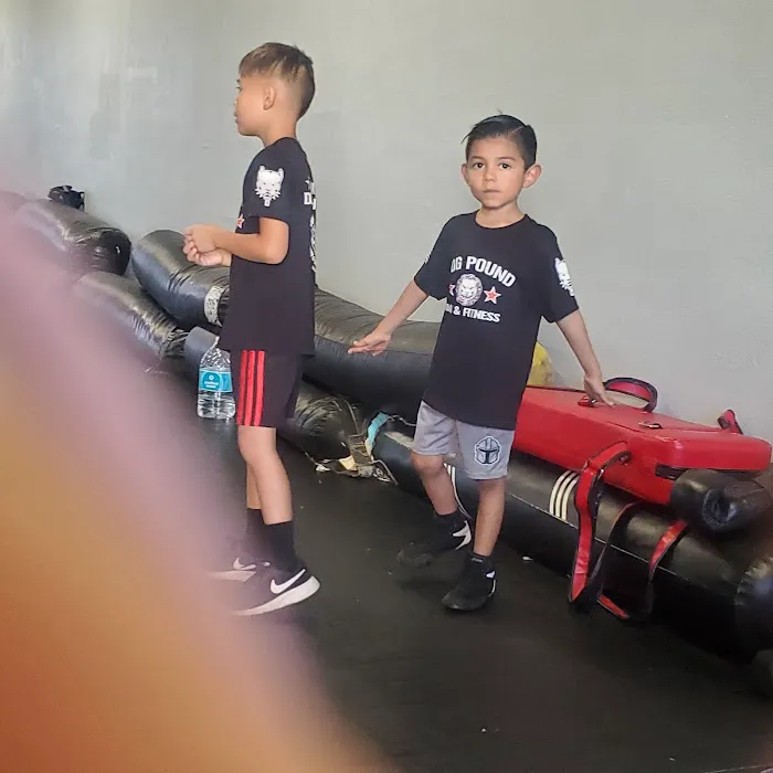 Dog Pound MMA & Fitness Picture 3