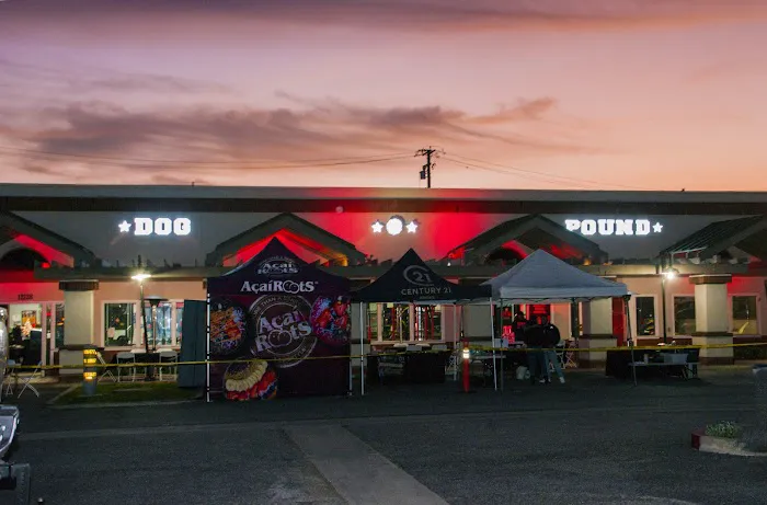 Dog Pound MMA & Fitness Picture 5