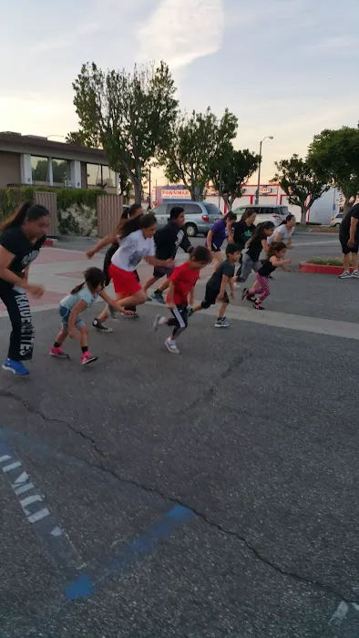 Dog Pound MMA & Fitness Picture 7