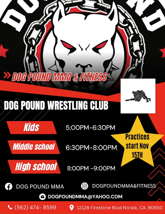 Dog Pound MMA & Fitness Picture 8