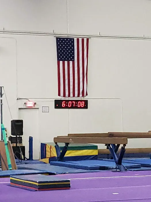 Majestic Gymnastics Picture 8