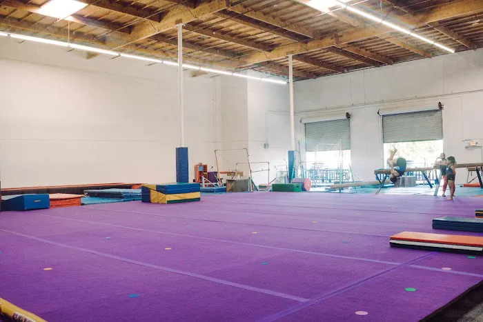 Majestic Gymnastics Picture 3