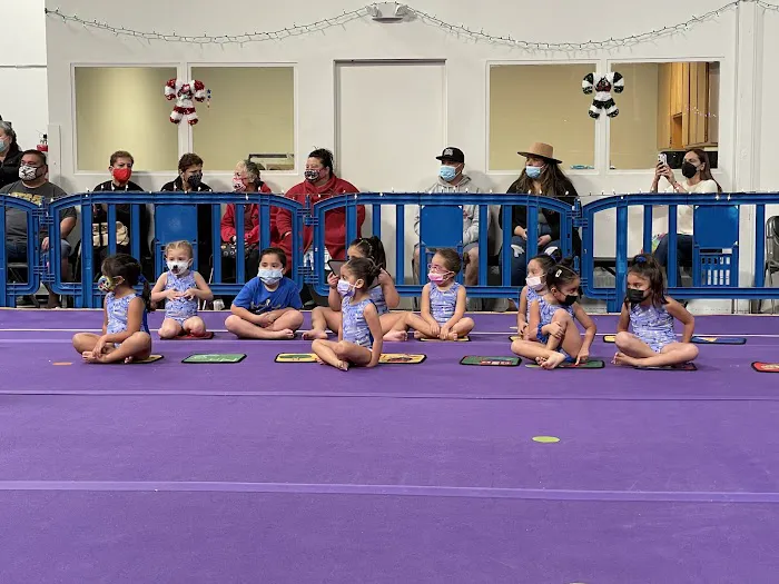 Majestic Gymnastics Picture 9