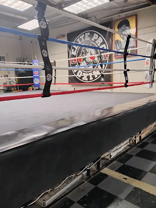 Elite Pro Boxing Picture 1