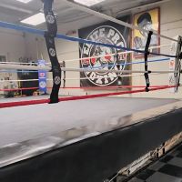 Elite Pro Boxing ico