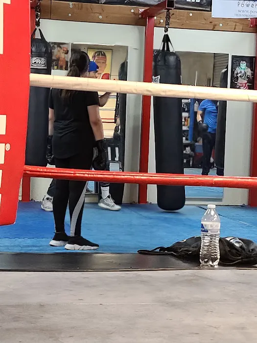 Elite Pro Boxing Picture 3