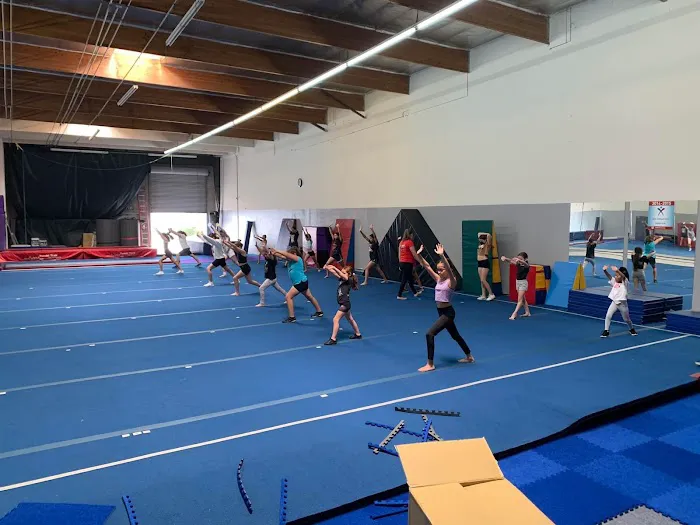 Chrizzy Tumbling Picture 10