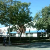 Spirit Gymnastics ico