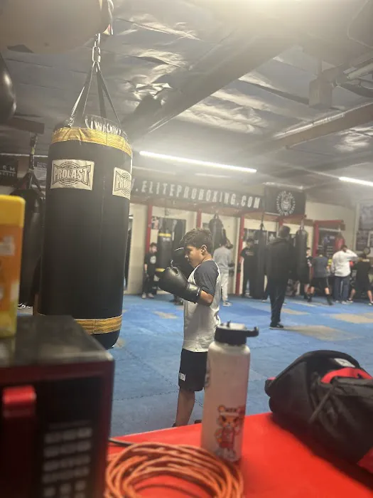 Elite Pro Boxing Picture 1