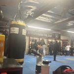 Elite Pro Boxing