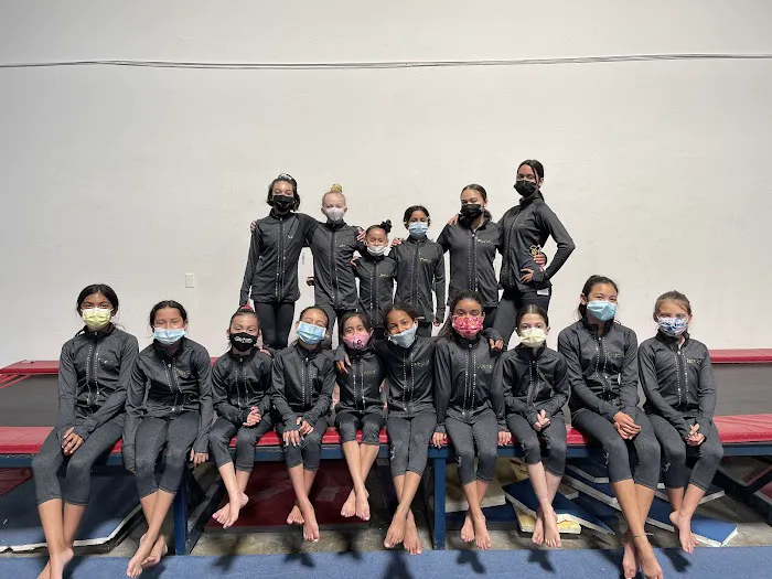 Majestic Gymnastics Picture 2