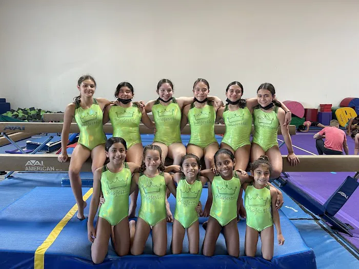 Majestic Gymnastics Picture 8