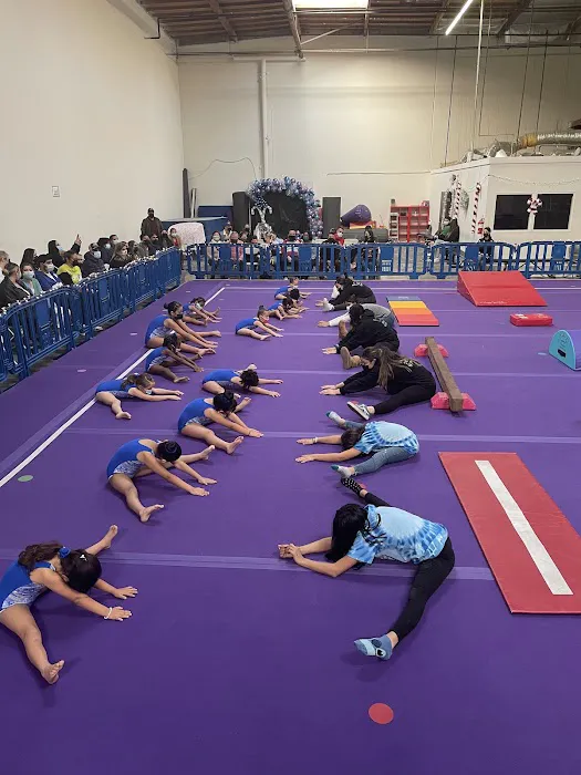 Majestic Gymnastics Picture 3