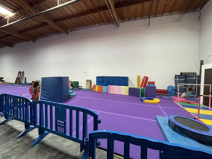 Majestic Gymnastics Picture 9