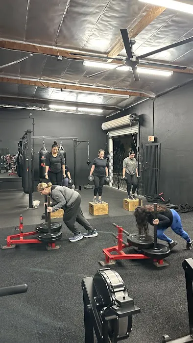 Avlution Fitness Picture 4