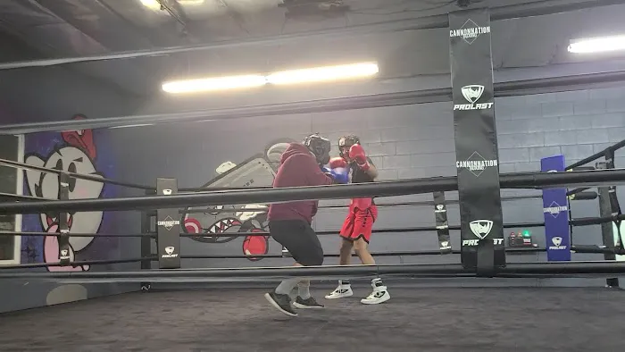 Cannonnation Boxing Gym Picture 9