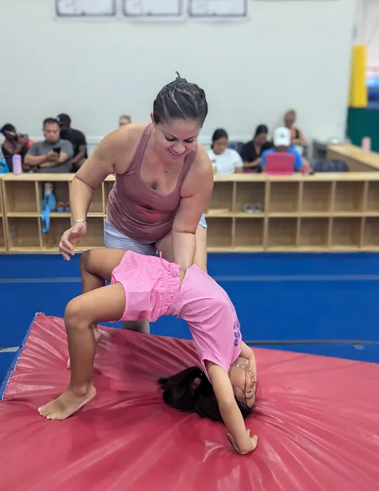 SAGA and PDA Picture 1