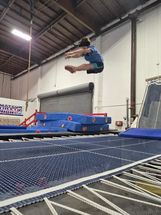 SAGA and PDA Picture 3