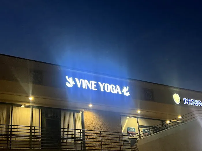Vine Yoga Picture 8