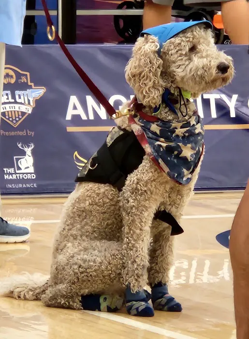 Cerritos College Gym Picture 4