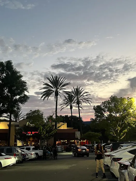 Planet Fitness Picture 4