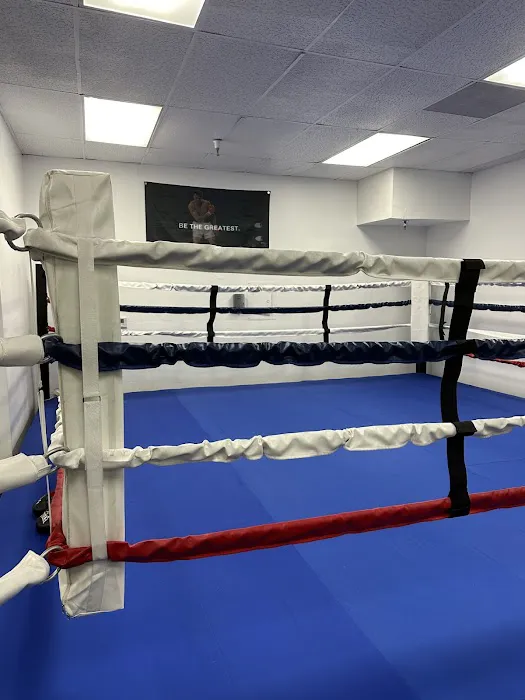 KO Boxing and Fitness Picture 4